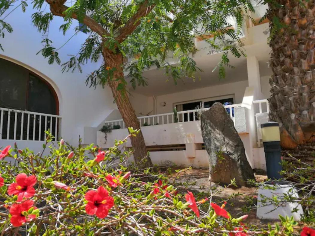 Comfortable Cleo Apartment With Large Terrace Costa Teguise Buitenkant foto